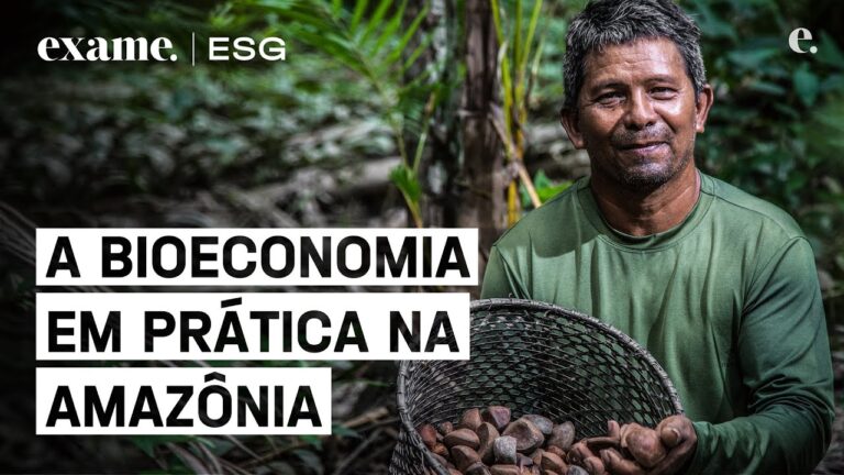 Amazônia: bioeconomia é o futuro da agricultura brasileira