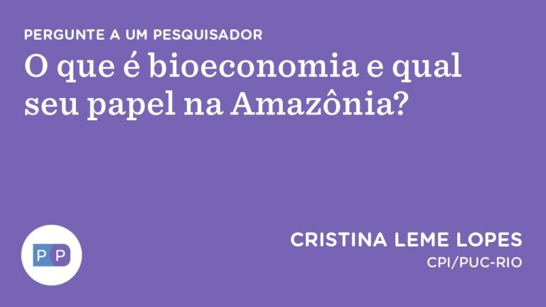 O que é bioeconomia e qual seu papel na Amazônia? | Nexo Políticas Públicas