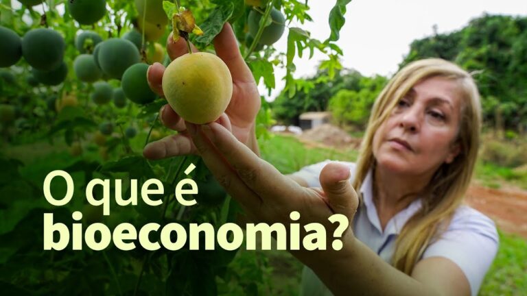 Você sabe o que é bioeconomia?