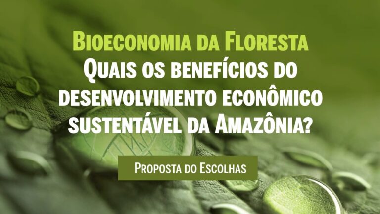 Bioeconomia – Quais os benefícios do desenvolvimento econômico sustentável na Amazônia?