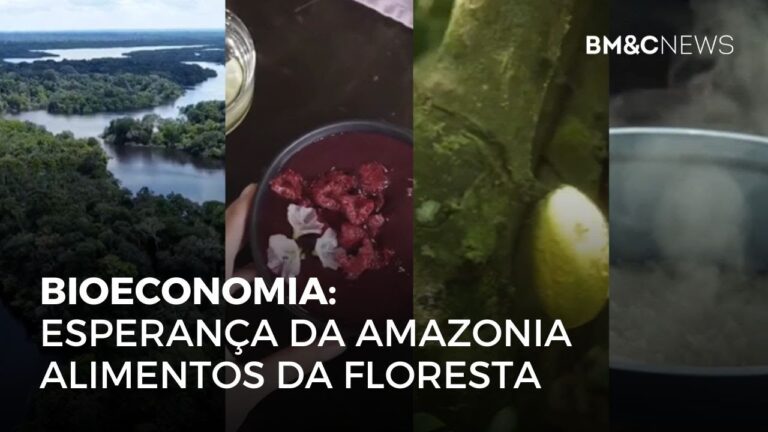 BIOECONOMIA: ESPERANÇA DA AMAZONIA ALIMENTOS DA FLORESTA