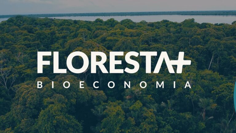 🌳 DIA DA AMAZÔNIA: FLORESTA+ BIOECONOMIA