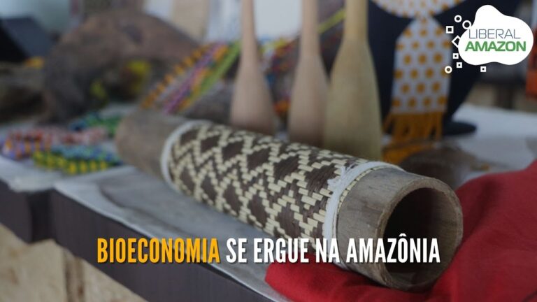 Bioeconomia se ergue na Amazônia