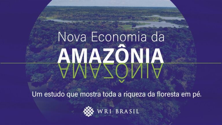 Nova Economia da Amazônia