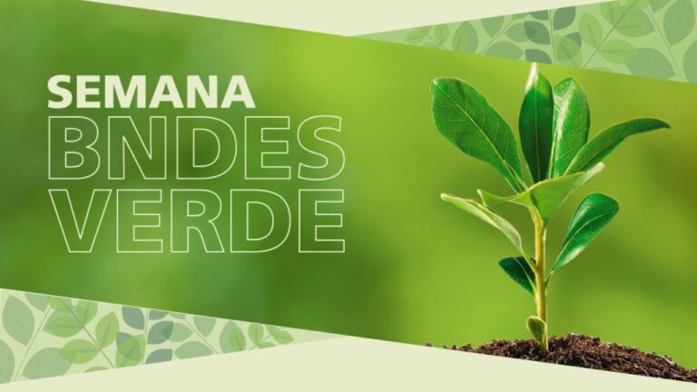 Amazônia e a bioeconomia – Semana BNDES Verde