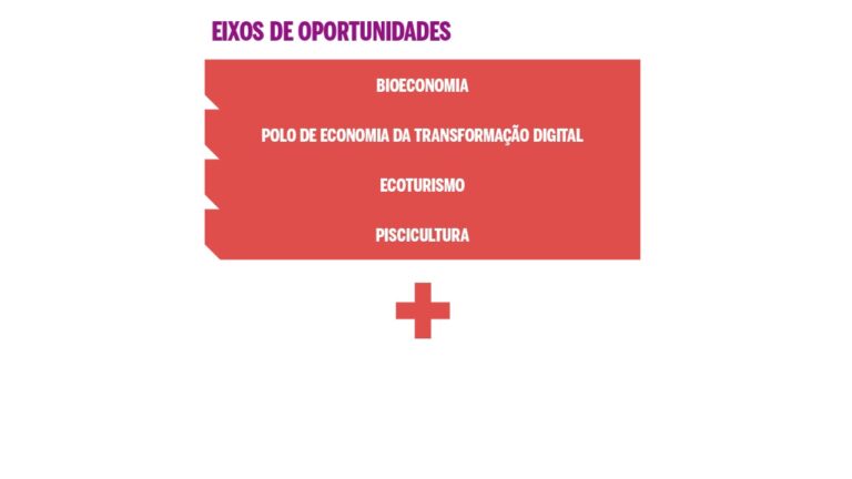 Bioeconomia – Como Impulsionar o desenvolvimento sustentável no Amazonas?