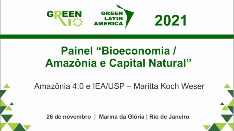 Painel “Bioeconomia / Amazônia e Capital Natural”