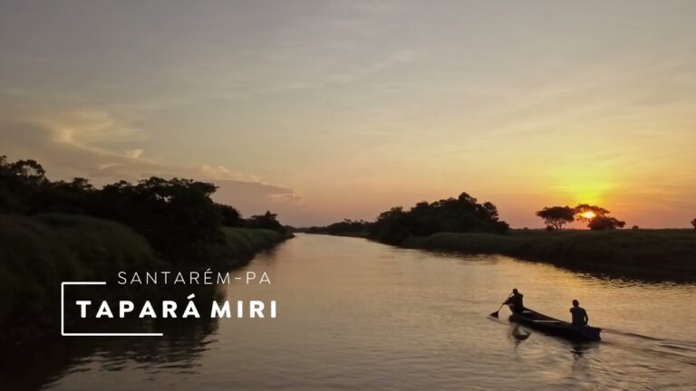 Fórum Mundial de Bioeconomia: Manejo sustentável do pirarucu no Baixo Amazonas