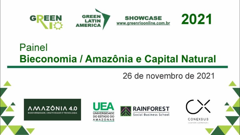 Painel “Bioeconomia / Amazônia e Capital Natural”