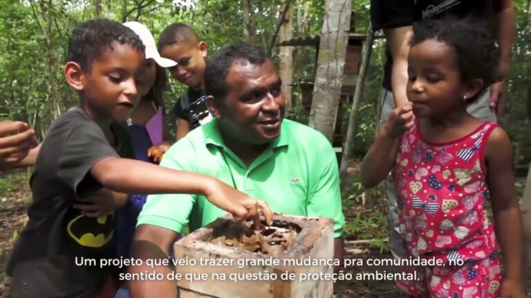 Bioeconomia para quem? Bases para um Desenvolvimento Sustentável na Amazônia