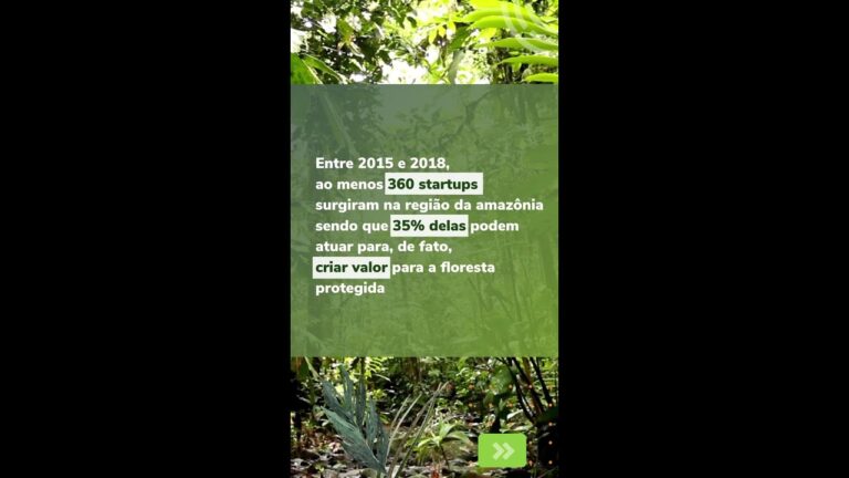 Jornada Amazônia, ativação do ecossistema de empreendedorismo e inovação de impacto