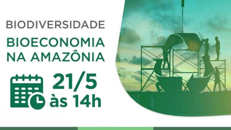 Bioeconomia como eixo estruturante do desenvolvimento sustentável na Amazônia