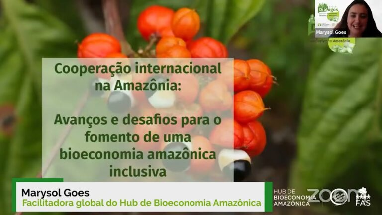 Confira o 3º Diálogos para uma bioeconomia inclusiva na Amazônia