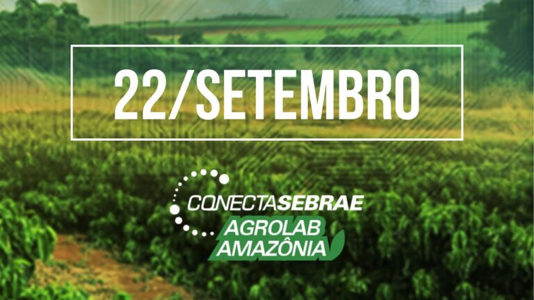 Ambiente de negócios e Bioeconomia na Amazônia