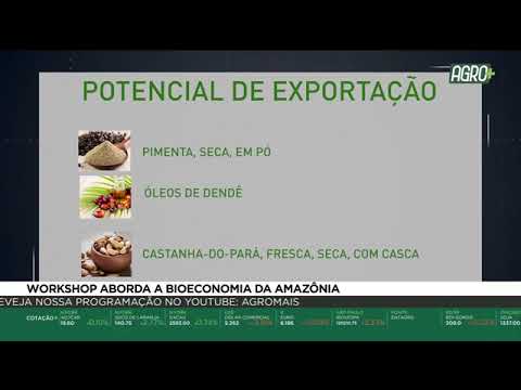 Workshop aborda a bioeconomia da amazônia