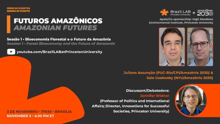 Amazonian Futures | Forest Bioeconomy and the Future of Amazonia