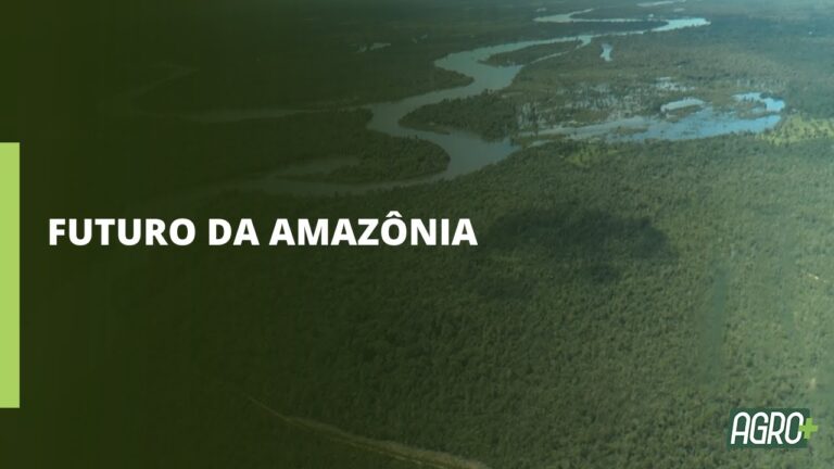 Roraima: Desafios humanitários, da bioeconomia e infraestrutura para o futuro da amazônia