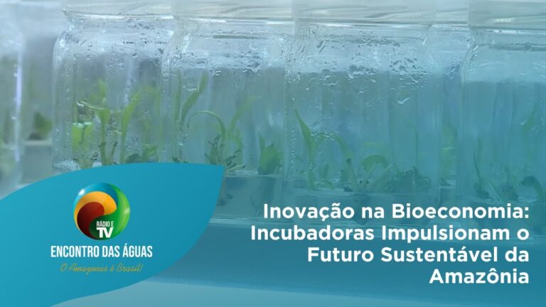 Inovação na Bioeconomia: Incubadoras Impulsionam o Futuro Sustentável da Amazônia