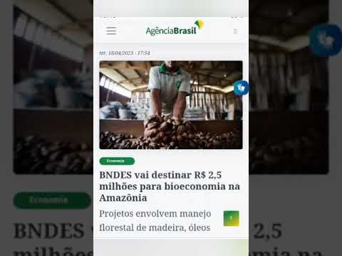 BNDES vai destinar R$ 2,5 milhões para bioeconomia na Amazônia. Fonte: Agência Brasil.