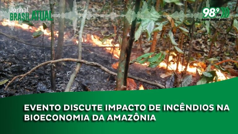 Evento discute impacto de incêndios na Bioeconomia da Amazônia