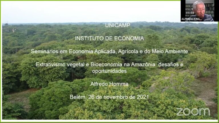 Webinar extrativismo vegetal e bioeconomia na Amazônia: desafios e oportunidades