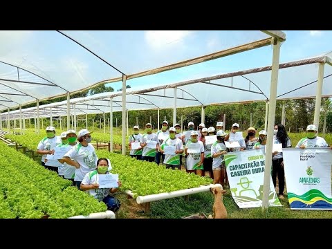 Informações sobre agronegócio e Bioeconomia | Invest Amazônia 16-03-2022