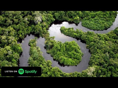 Podcast Eu como #83 – Bioeconomia e o desenvolvimento sustentável na Amazônia