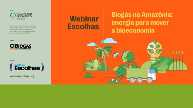 Biogás na Amazônia: energia para mover a bioeconomia