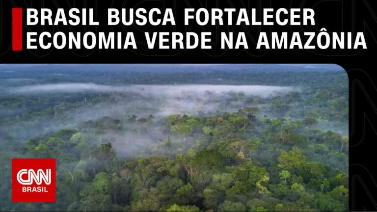 Brasil busca fortalecer economia verde na Amazônia | CNN PRIMETIME