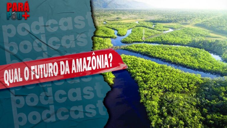 Bioeconomia: os desafios para o futuro de Benevides e da Amazônia