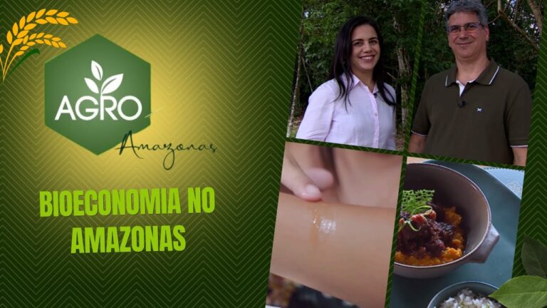 Reapresentação Agro Amazonas – Bioeconomia no Amazonas – 05.06.2024