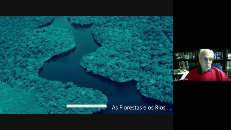 A Amazônia próxima de um ponto de não-retorno. A urgente necessidade de uma bioeconomia inovadora