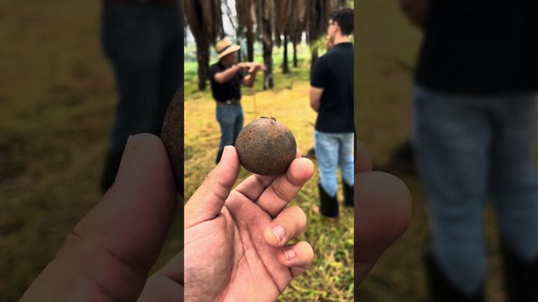 Timothy J. Killeen, autor de 'Uma Tempestade Perfeita na Amazônia', visita nossas instalações em MG