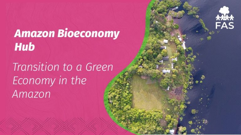 Amazon Bioeconomy Hub