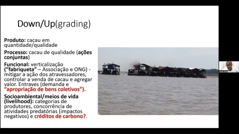 Comunidades extrativistas de cacau no Amazonas