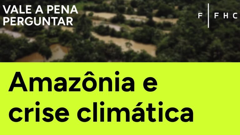 Crise climática: que oportunidades a Amazônia oferece? | Vale a Pena Perguntar