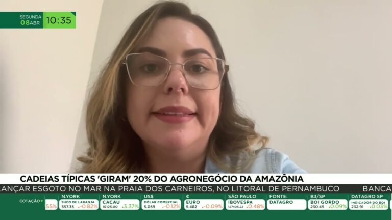 Cadeias típicas 'giram' 20% do agronegócio da Amazônia