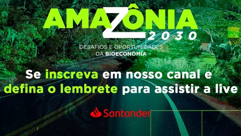 5º webinário : Infraestrutura: eficiência e destruição | Amazônia 2030