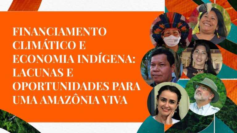 Financiamento climático e economia indígena: Lacunas e oportunidades para uma Amazônia Viva