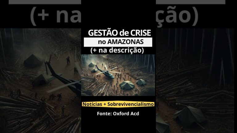 CRISE na AMAZÔNIA – Ferramentas de GESTÃO desmatamento incêndios devastação