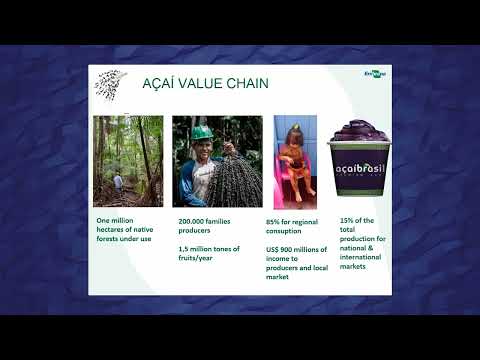 Desafios para uma sociobioeconomia que conecte a Amazônia urbana e a Amazônia profunda | Ana Euler