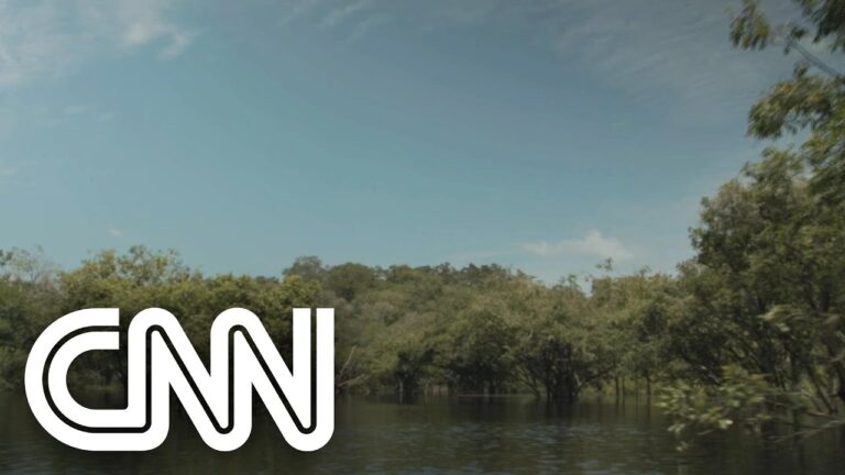 Crescimento econômico aliado à preservação ambiental na Amazônia | JORNAL DA CNN