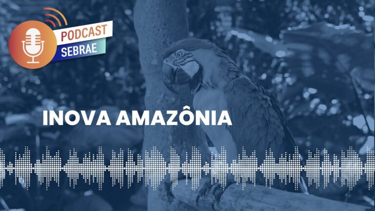 Inova Amazônia vai acelerar negócios inovadores e sustentáveis do Pará | Podcast Sebrae – Ep 66