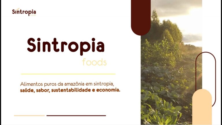 SINTROPIA FOODS | Alimentos Puros da Amazônia em Sintropia, Saúde Sabor, Sustentabilidade, Economia.