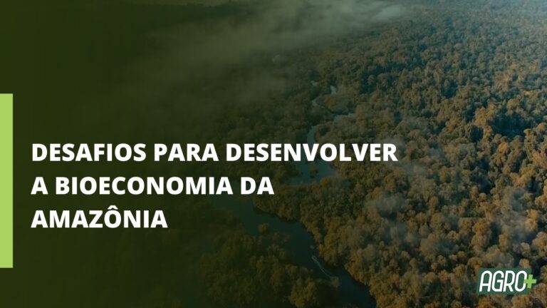 Embrapa avalia Cúpula da Amazônia e cita prioridades para o futuro da região