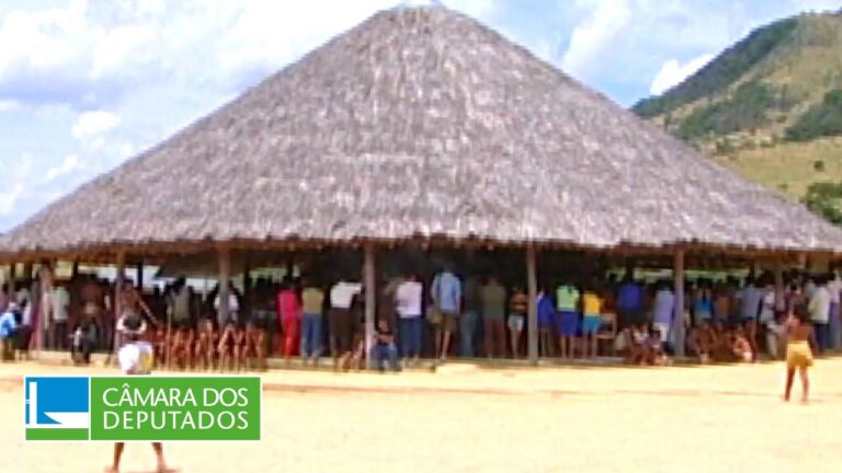 Comissão da Amazônia debate modelo de economia ecológica – 20/06/23