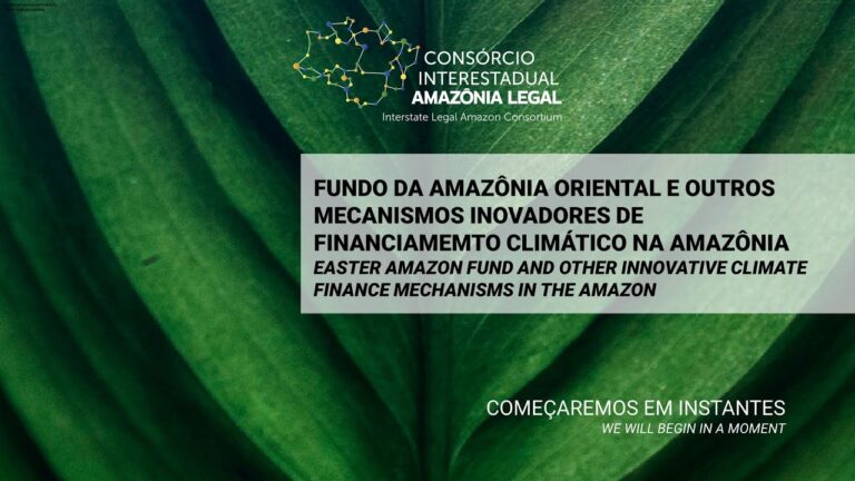 FUNDO DA AMAZÔNIA ORIENTAL E OUTROS MECANISMOS INOVADORES DE FINANCIAMEMTO CLIMÁTICO NA AMAZÔNIA