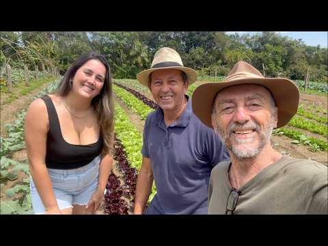 A HORTA ORGÂNICA DO GLAICO – PAULO LOPES SC