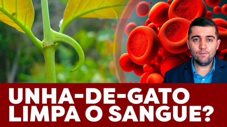 Unha-de-gato quebra coágulos de sangue e acaba com veias entupidas da trombose? Cura má circulação?