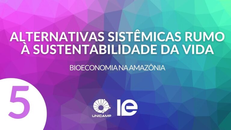 Bioeconomia na Amazônia